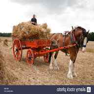 shire cart for sale