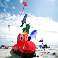 peter lynn kites for sale