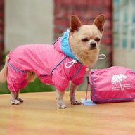 small dog raincoat for sale