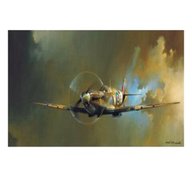 spitfire painting for sale