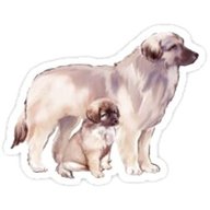 leonberger stickers for sale for sale