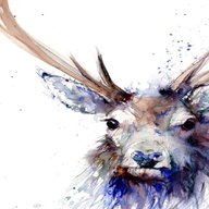 original stag painting for sale