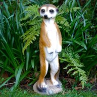 meerkat garden for sale