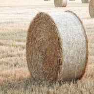 round straw bales for sale