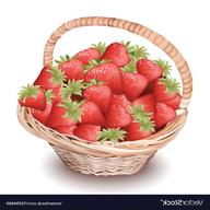 strawberry basket for sale