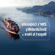 shipping lines for sale
