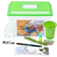 frog kits for sale