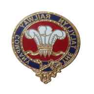 talyllyn badge for sale