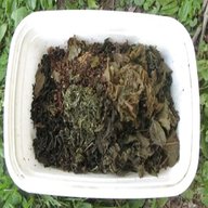 leaf compost for sale