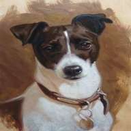 jack russell painting for sale