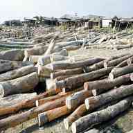 timber yard for sale