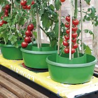 tomato pots for sale