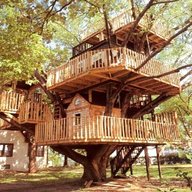 real tree houses for sale