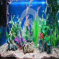 tropical fish tanks for sale