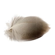 mallard feathers for sale