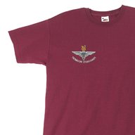 parachute regiment t shirt for sale