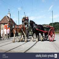 heavy horse cart for sale