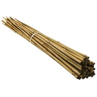 bamboo canes for sale