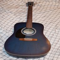 seagull guitar for sale
