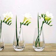 single stem vases for sale