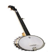 vega banjo for sale