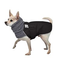 chihuahua coats for sale
