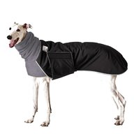 greyhound coat for sale