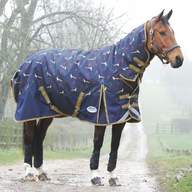 weatherbeeta horse rugs for sale
