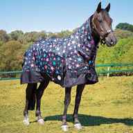 turnout rugs for sale