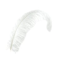 white ostrich feathers for sale