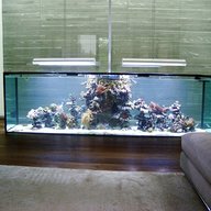 unique aquariums for sale