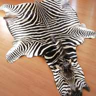 zebra skin rug for sale